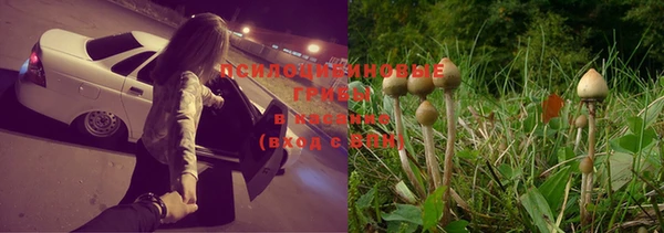 тгк Бугульма