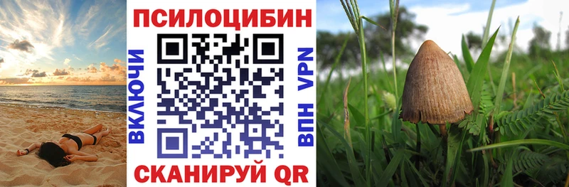 Галлюциногенные грибы мицелий  Купить где  Переславль-Залесский 